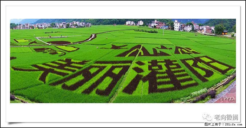 【春天，广西桂林灌阳县向您发出邀请！】开篇 - 游山玩水 - 眉山生活社区 - 眉山28生活网 ms.28life.com