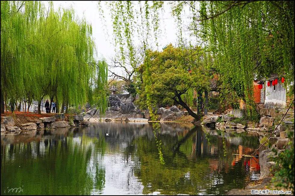 【春天，广西桂林灌阳县向您发出邀请！】江口老街又逢春 - 游山玩水 - 眉山生活社区 - 眉山28生活网 ms.28life.com