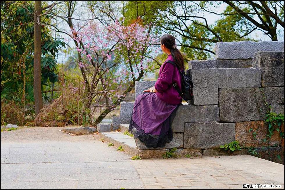 【春天，广西桂林灌阳县向您发出邀请！】江口老街又逢春 - 游山玩水 - 眉山生活社区 - 眉山28生活网 ms.28life.com