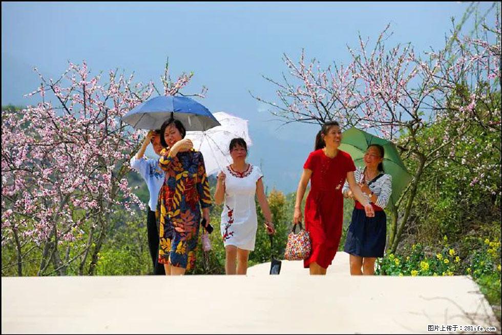 【春天，广西桂林灌阳县向您发出邀请！】望月岭上桃花开 - 游山玩水 - 眉山生活社区 - 眉山28生活网 ms.28life.com