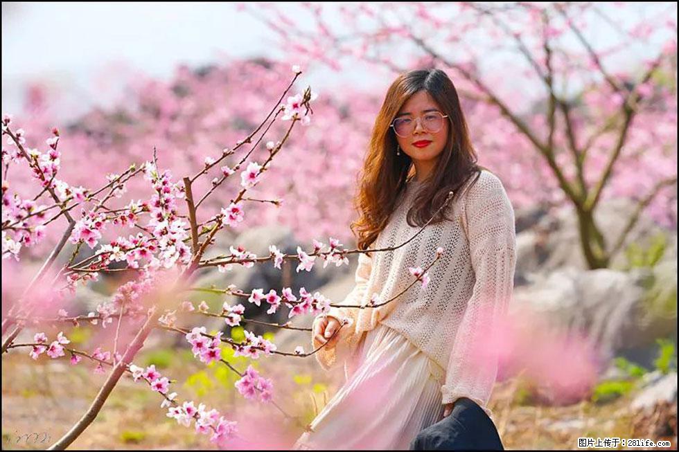 【春天，广西桂林灌阳县向您发出邀请！】望月岭上桃花开 - 游山玩水 - 眉山生活社区 - 眉山28生活网 ms.28life.com