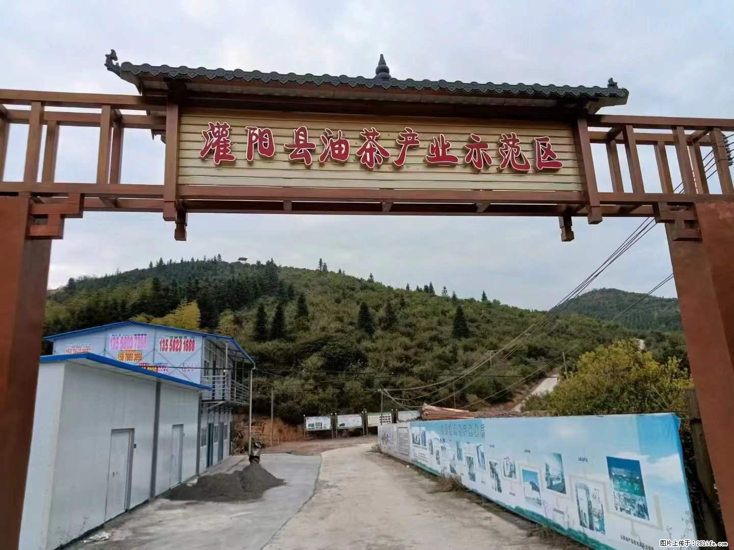 【灌阳县油茶产业示范区】一个有着充实的精神生活的人,对待身外之物自会有一种淡泊的态度 - 美食天地 - 眉山生活社区 - 眉山28生活网 ms.28life.com