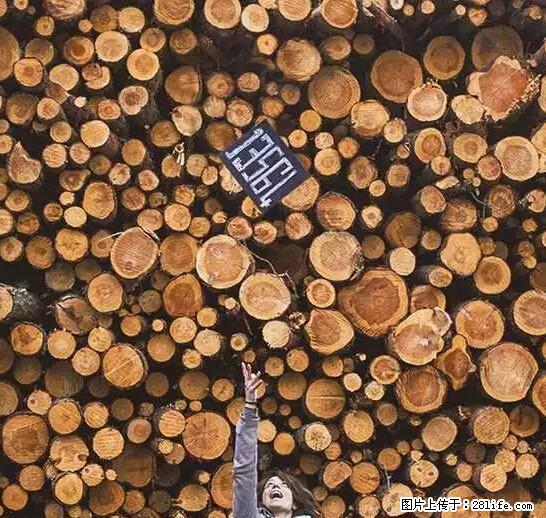 辞掉工作周游世界？现在他们在洗厕所…… - 游山玩水 - 眉山生活社区 - 眉山28生活网 ms.28life.com