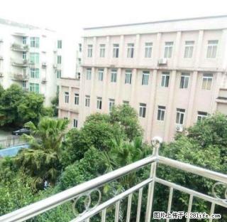 (单间出租)红星路金马花园小区精装套房便宜分租 - 眉山28生活网 ms.28life.com