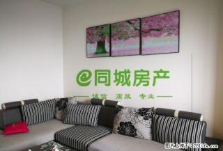 盖丽广场旁 凯旋天域 精装套2 空调两台 家具家电全齐 - 眉山28生活网 ms.28life.com