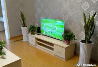 加洲国际城 房子精装修 一直没有人住过 家电全新 - 眉山28生活网 ms.28life.com