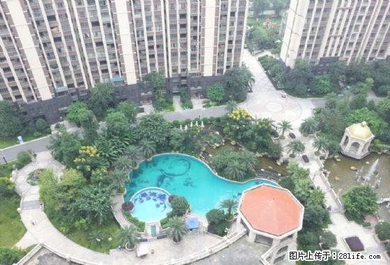 送物管半年付加洲国际精装套二 干净整洁采光好对中庭安静 - 房屋出租 - 房屋租售 - 眉山分类信息 - 眉山28生活网 ms.28life.com