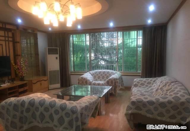 旭光小区全新家电套四出租 - 房屋出租 - 房屋租售 - 眉山分类信息 - 眉山28生活网 ms.28life.com