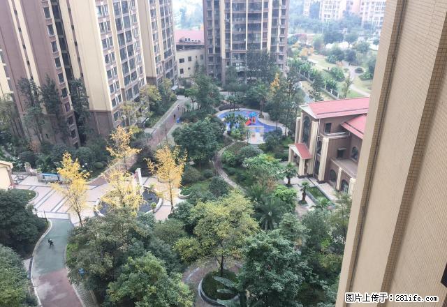 九巷十坊旁两室三厅双卫可变三房两台空调 主卧观中庭 拎包入住 - 房屋出租 - 房屋租售 - 眉山分类信息 - 眉山28生活网 ms.28life.com