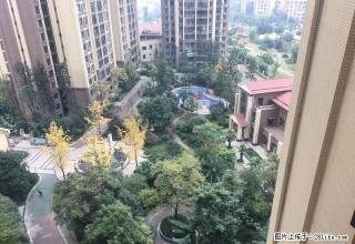 九巷十坊旁两室三厅双卫可变三房两台空调 主卧观中庭 拎包入住 - 眉山28生活网 ms.28life.com