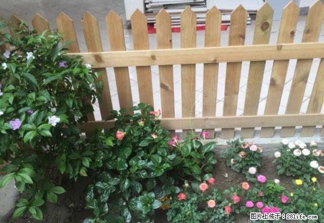 金鑫街农行家属区，地段好，13000一年，价格可刀，实地看房 - 房屋出租 - 房屋租售 - 眉山分类信息 - 眉山28生活网 ms.28life.com