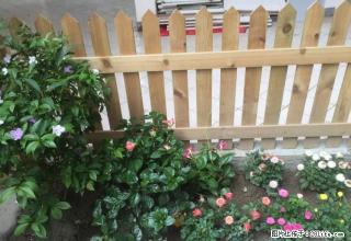 金鑫街农行家属区，地段好，13000一年，价格可刀，实地看房 - 眉山28生活网 ms.28life.com