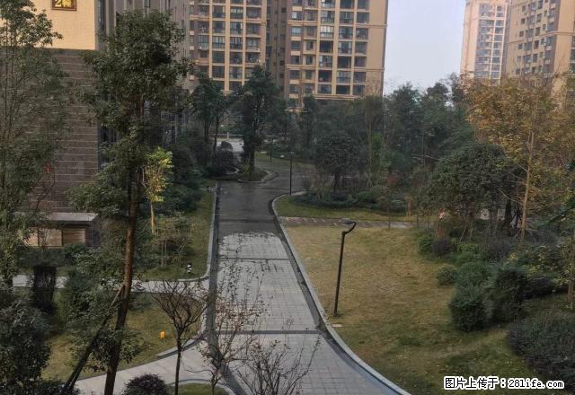 房东全新精装带全家具家电 诚心出租随时看房 爱干净的来 - 房屋出租 - 房屋租售 - 眉山分类信息 - 眉山28生活网 ms.28life.com