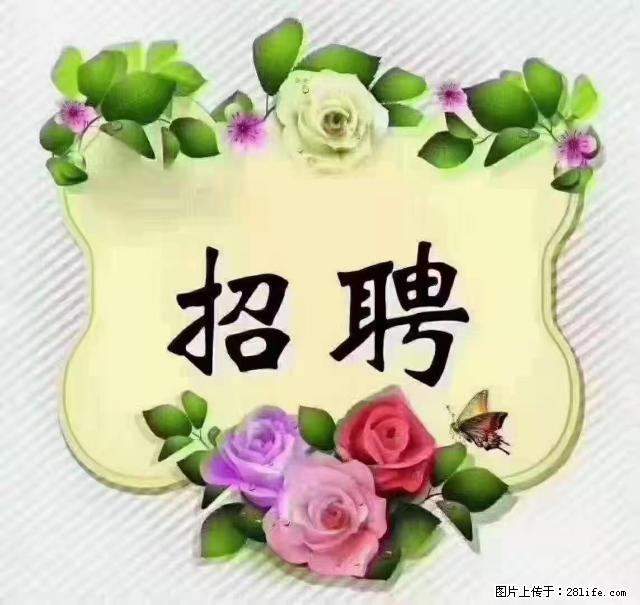 【招聘】住家育儿嫂，上户日期：4月4日，工作地址：上海 黄浦区 - 职场交流 - 眉山生活社区 - 眉山28生活网 ms.28life.com