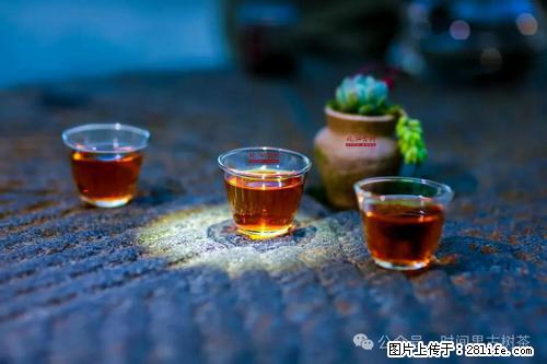 时间果百年古树2025年春红茶 - 购物交流 - 眉山生活社区 - 眉山28生活网 ms.28life.com