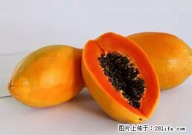 晕车、脚气、牙齿变黄、皮肤粗糙？学会这些三分钟搞定！ - 眉山生活资讯 - 眉山28生活网 ms.28life.com