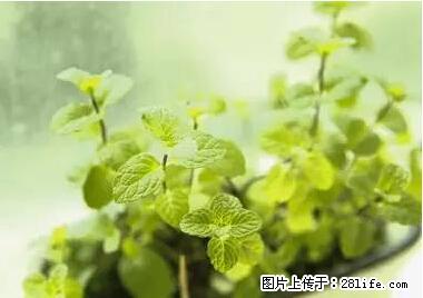 晕车、脚气、牙齿变黄、皮肤粗糙？学会这些三分钟搞定！ - 眉山生活资讯 - 眉山28生活网 ms.28life.com