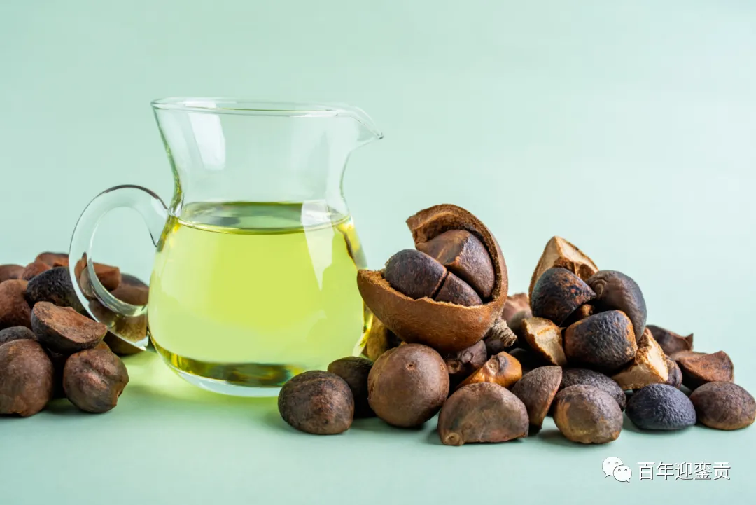 世界没有真相,只有认知,最好的食用油是中国的山茶油! - 眉山生活资讯 - 眉山28生活网 ms.28life.com