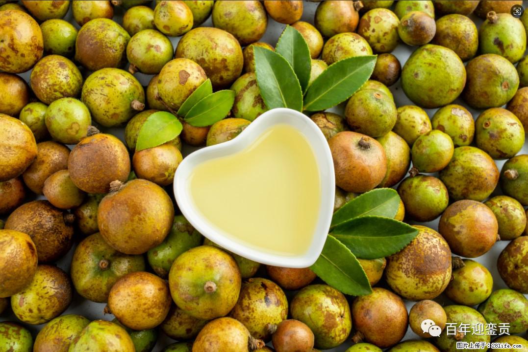 世界没有真相,只有认知,最好的食用油是中国的山茶油! - 眉山生活资讯 - 眉山28生活网 ms.28life.com