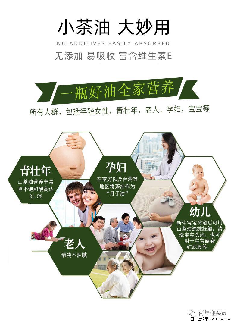 世界没有真相,只有认知,最好的食用油是中国的山茶油! - 眉山生活资讯 - 眉山28生活网 ms.28life.com