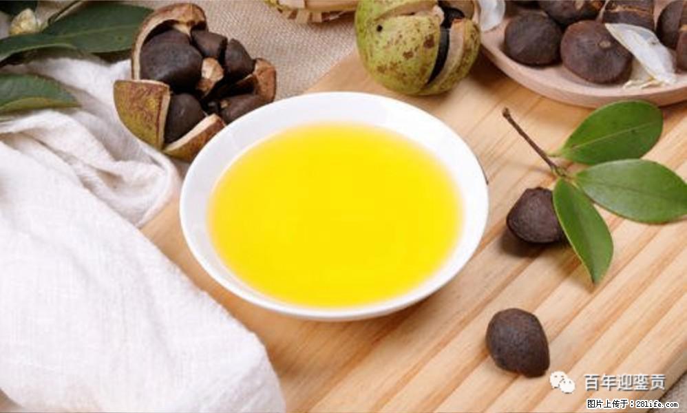 世界没有真相,只有认知,最好的食用油是中国的山茶油! - 眉山生活资讯 - 眉山28生活网 ms.28life.com