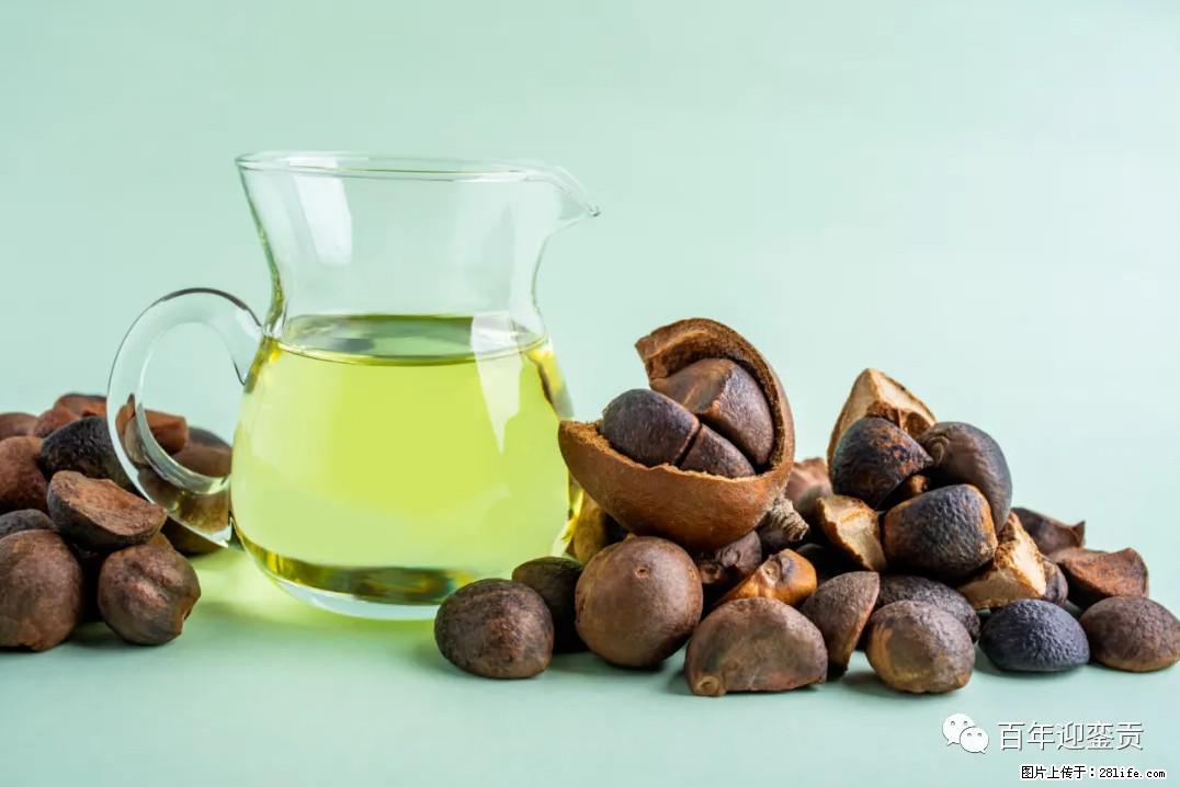 世界没有真相，只有认知，最好的食用油是中国的山茶油！ - 眉山生活资讯 - 眉山28生活网 ms.28life.com