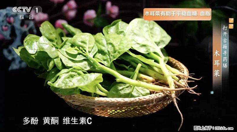 比牛奶补钙还厉害!凉血解毒、稳血糖...这菜冬天必吃,很多人却当草 - 眉山生活资讯 - 眉山28生活网 ms.28life.com
