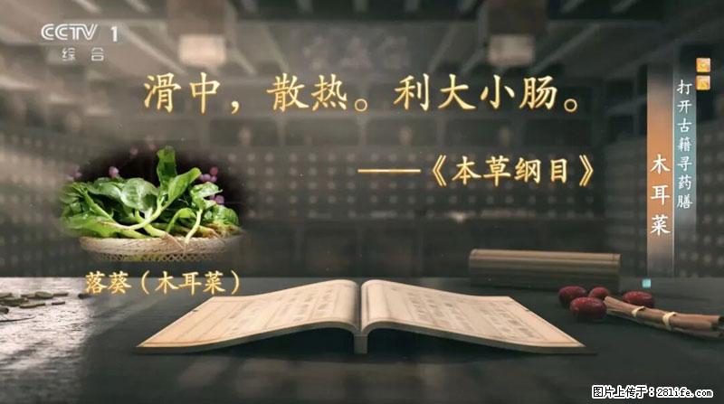 比牛奶补钙还厉害!凉血解毒、稳血糖...这菜冬天必吃,很多人却当草 - 眉山生活资讯 - 眉山28生活网 ms.28life.com