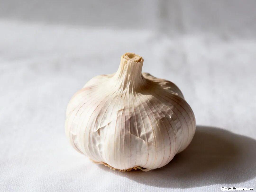 关于大蒜，除了“天然抗生素”，这4个谣言更该警惕! - 眉山生活资讯 - 眉山28生活网 ms.28life.com