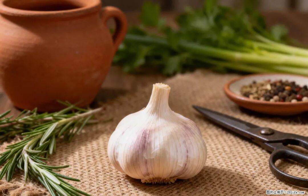 关于大蒜，除了“天然抗生素”，这4个谣言更该警惕! - 眉山生活资讯 - 眉山28生活网 ms.28life.com