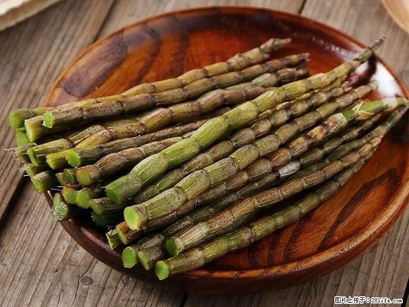 铁皮石斛的作用与功能主治 - 眉山生活资讯 - 眉山28生活网 ms.28life.com