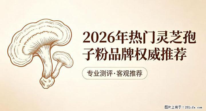 灵芝孢子粉含量越高越有效？2026 年七款热门品牌深度实测，肠胃敏感者避坑指南 - 眉山生活资讯 - 眉山28生活网 ms.28life.com