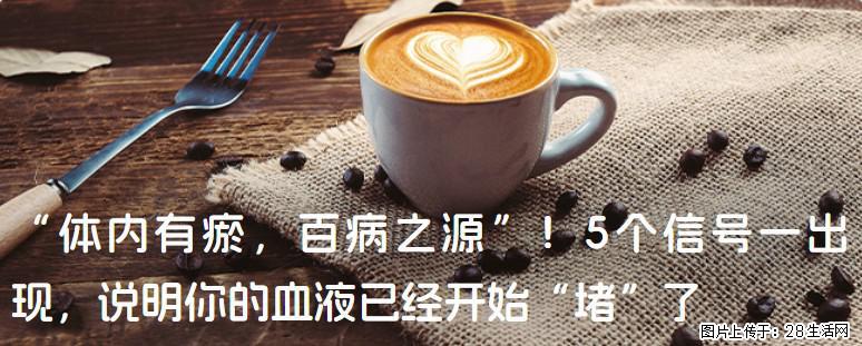 “体内有瘀，百病之源”！5个信号一出现，说明你的血液已经开始“堵”了 - 眉山生活资讯 - 眉山28生活网 ms.28life.com